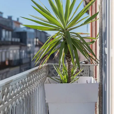 Apartamento Liiiving In - Design Palace